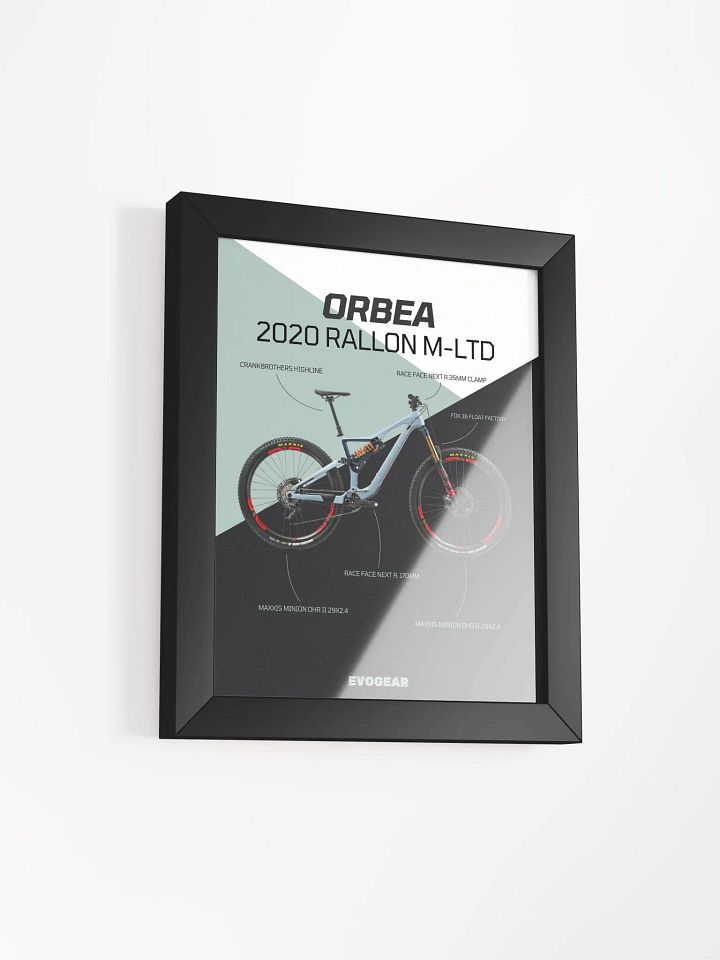 2020 Orbea Rallon M-LTD Frame product image (9)