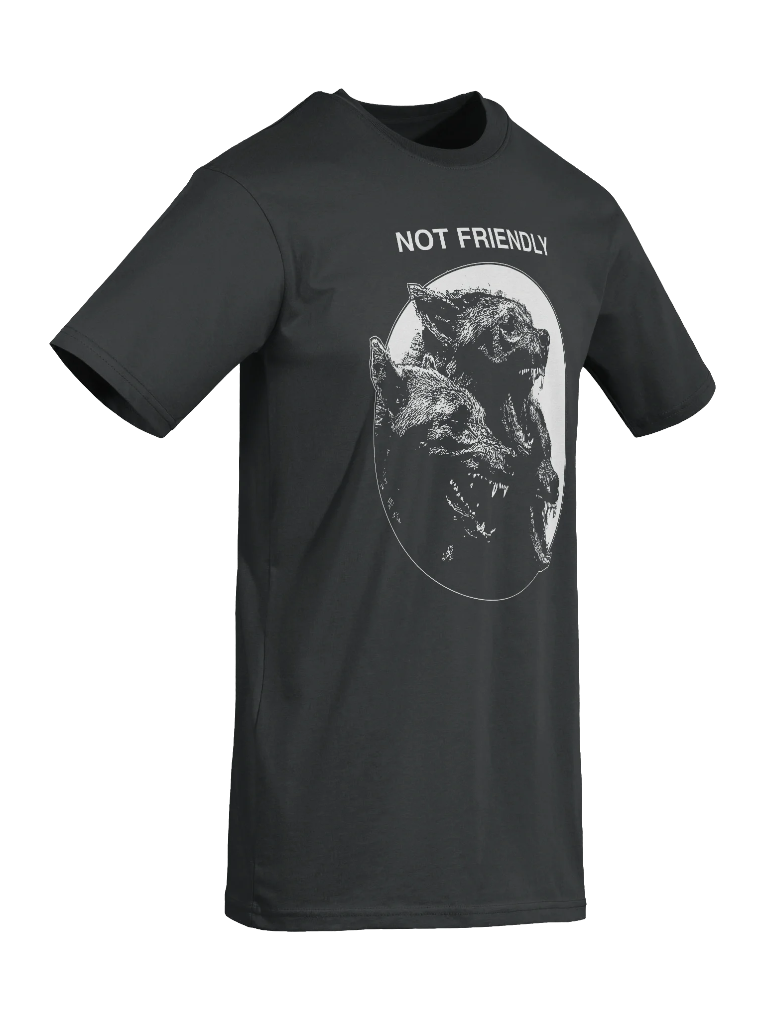 NOT FRIENDLY product image (8)