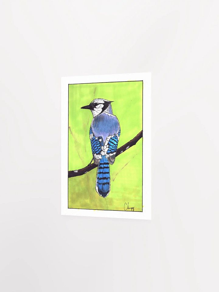 Blue Jay Print product image (2)