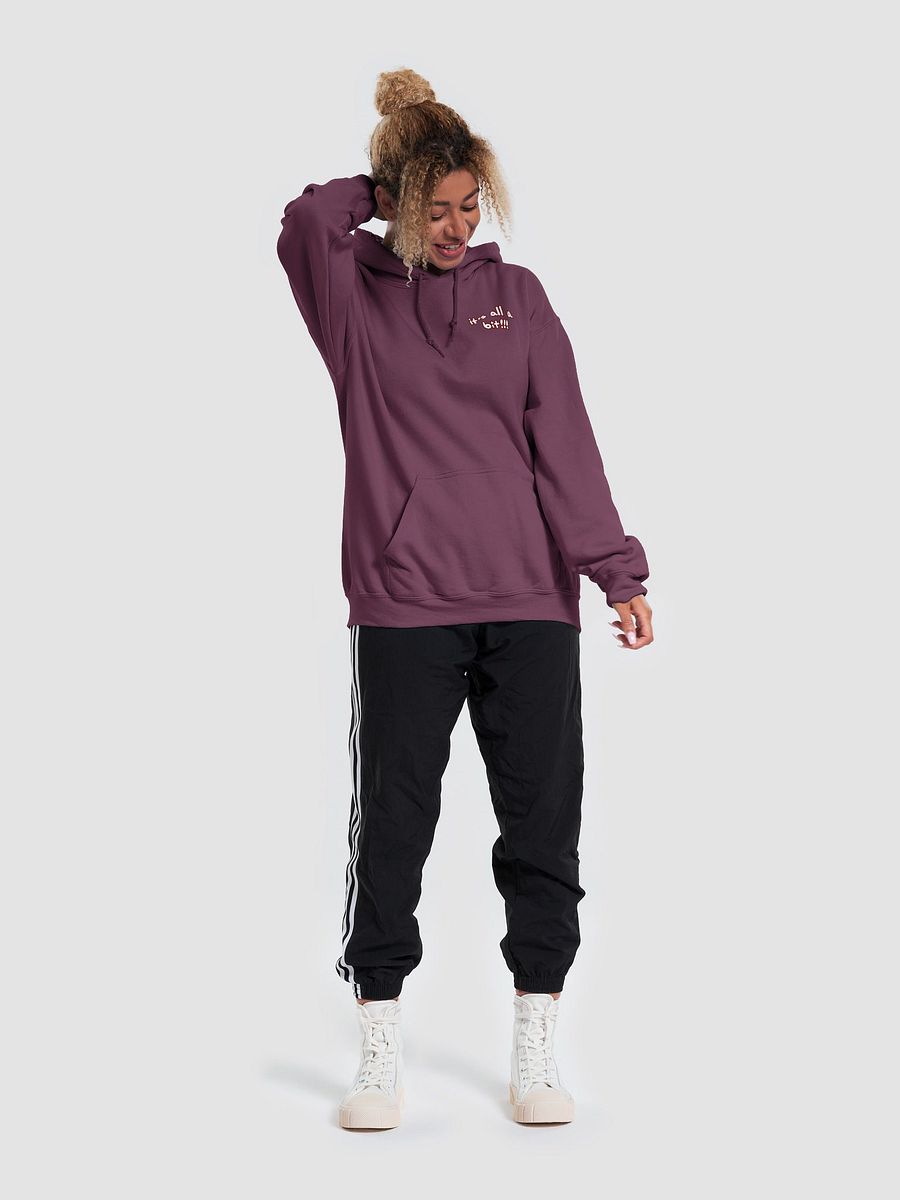 “It’s all a bit!!!” (sm. lined design, #6D1616) classic hoodie product image (47)