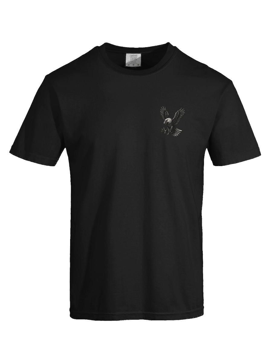Eagle in Flight Storm T-Shirt product image (7)