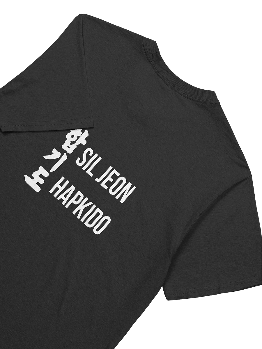 SilJeon Hapkido Organization Shirt! product image (9)
