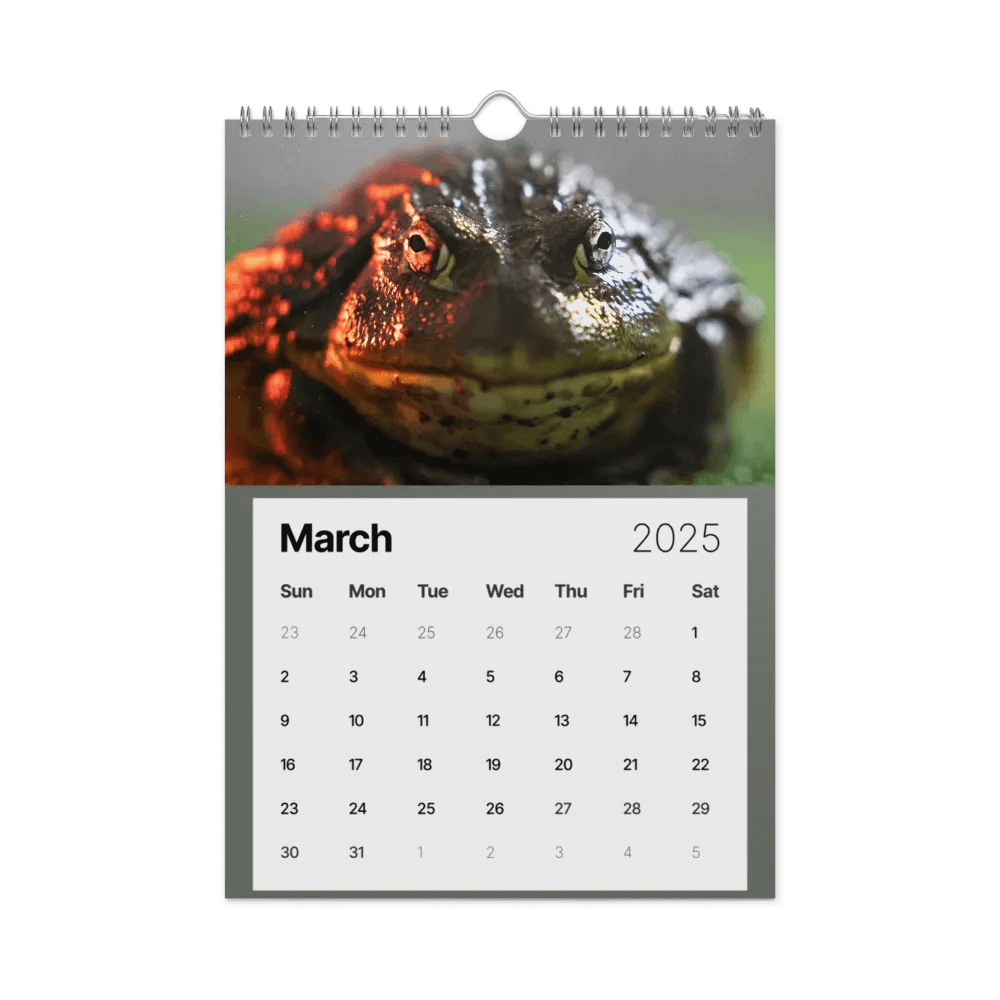 Alveus 2025 Calendar product image (40)