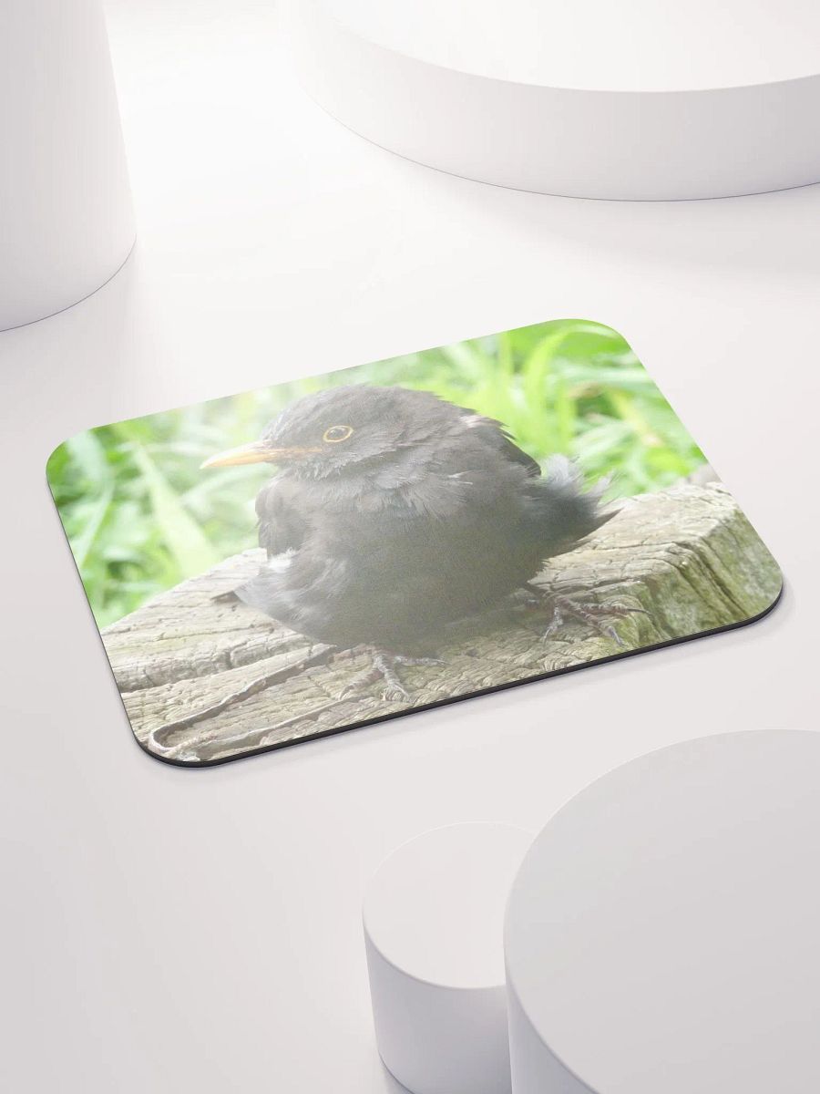 Classic Mouse Pad - The common blackbird #2 product image (4)