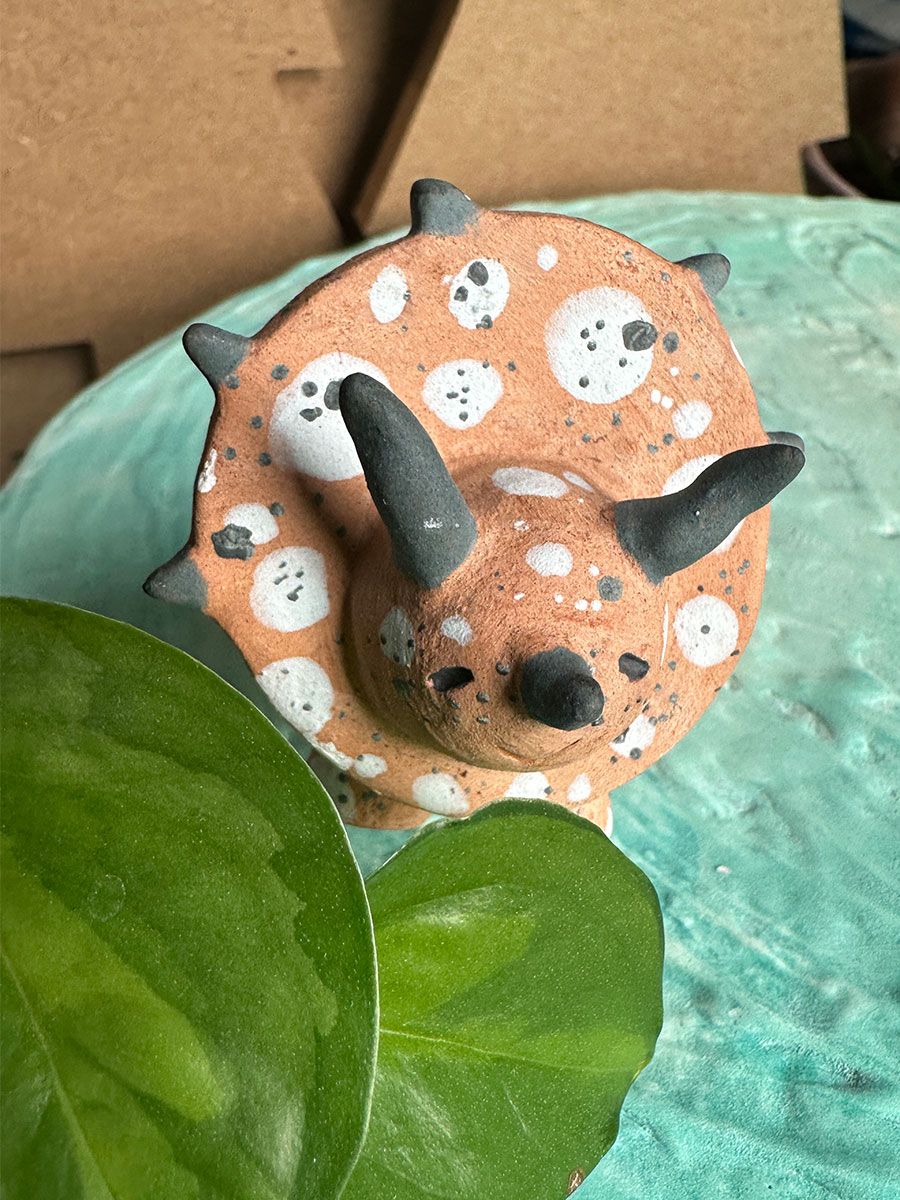 Spotty Bull Ceratopsid Ceramic Spill product image (5)