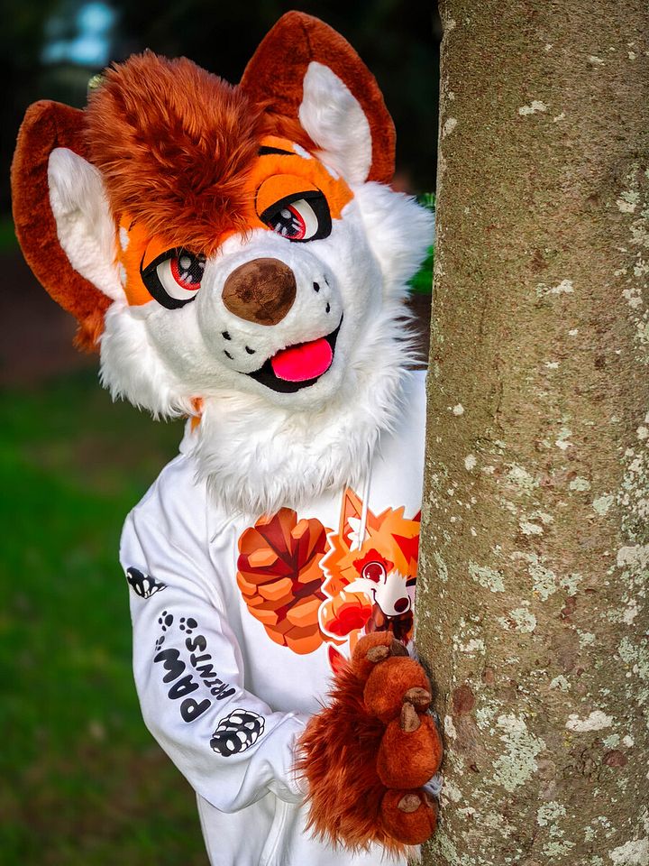 Alpine Antics Hoodie product image (2)