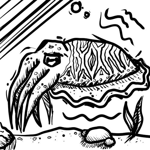 #art #digitalart #cuttlefish