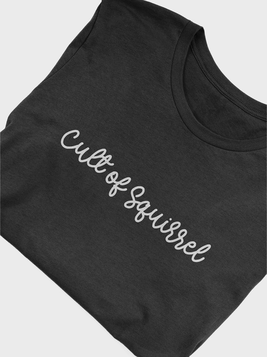 Cult of Squirrel T-shirt product image (36)