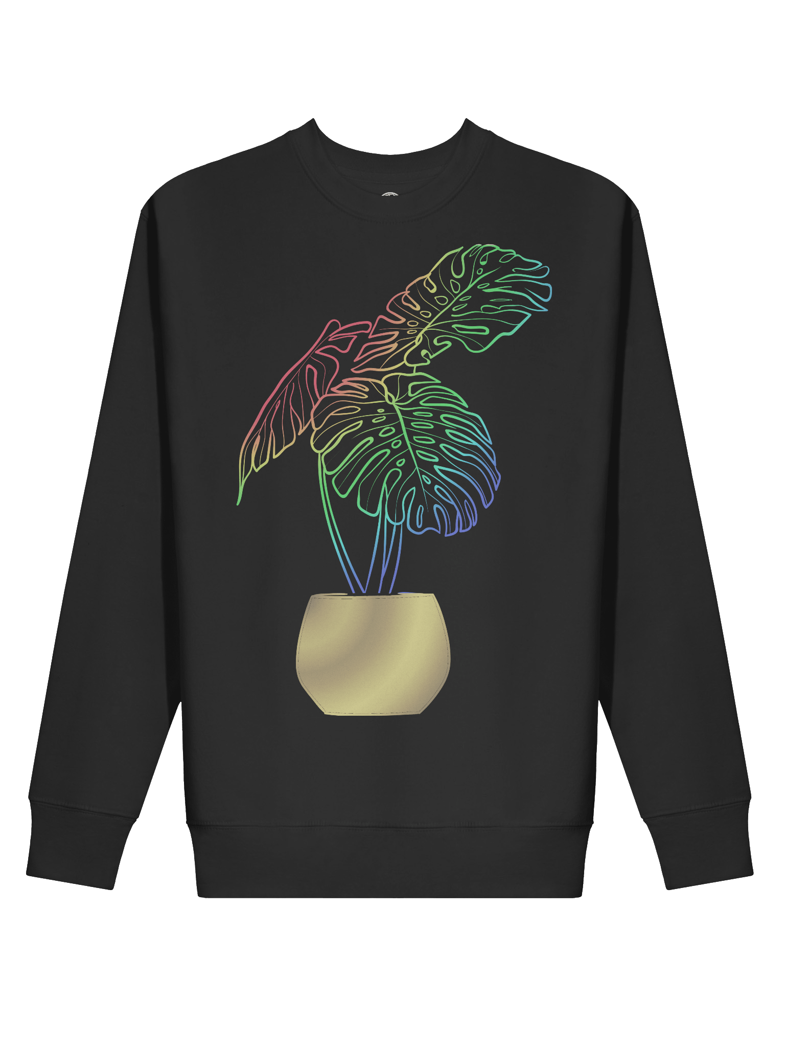 Rainbow Monstera product image (2)
