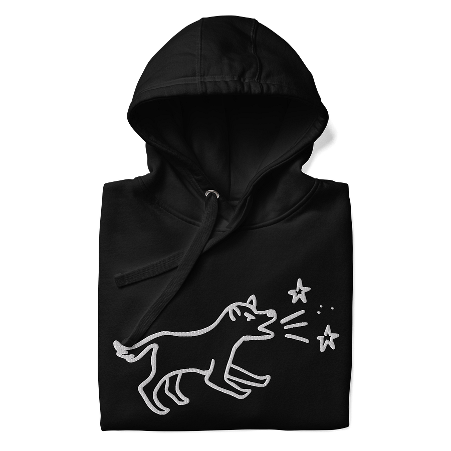 Exclusive Oversized Embroidery Hoodie product image (4)