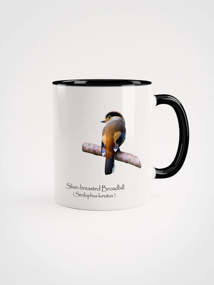 Silver-breasted Broadbill product image (1)
