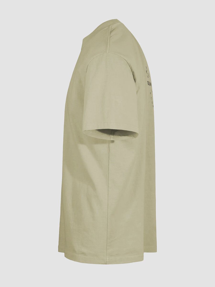 Columbia Road Market Vintage Vibes Oversized Tee (Faded Eucalyptus) product image (9)