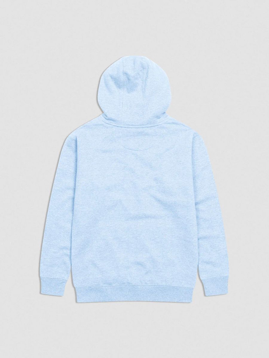 Classic Embroidered Hoodie product image (2)