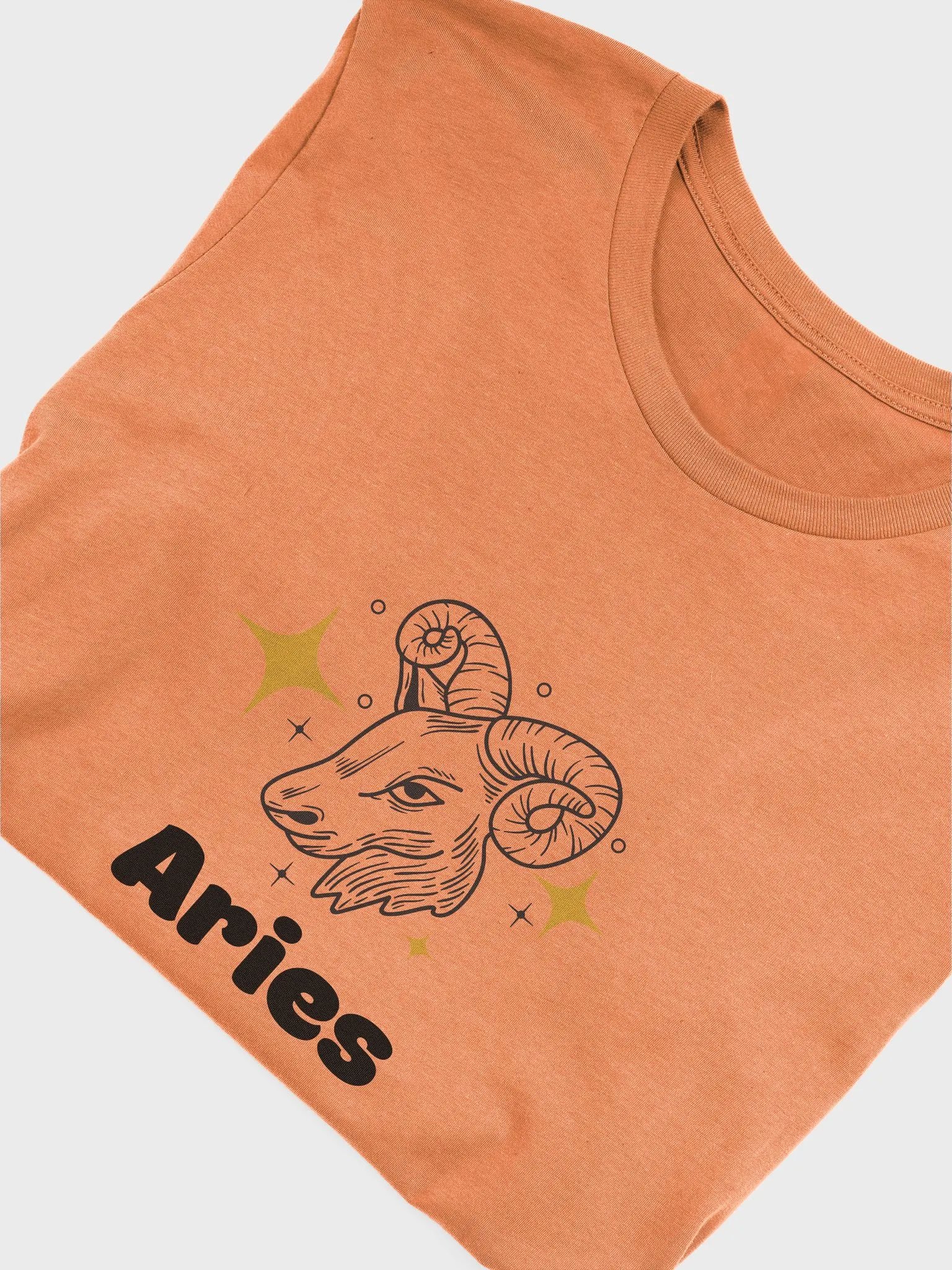 Aries Ram T-shirt - Black Writing product image (3)