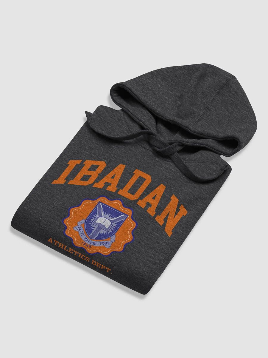IBADAN Athletics Department Premium Hoodie product image (11)