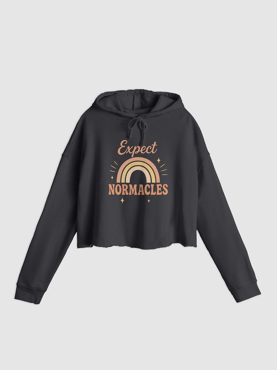 Expect Normacles Crop Hoodie product image (2)