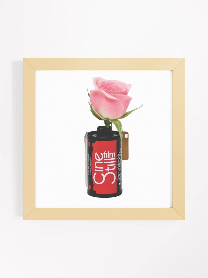 Cinestill Rose Framed Poster Print product image (4)
