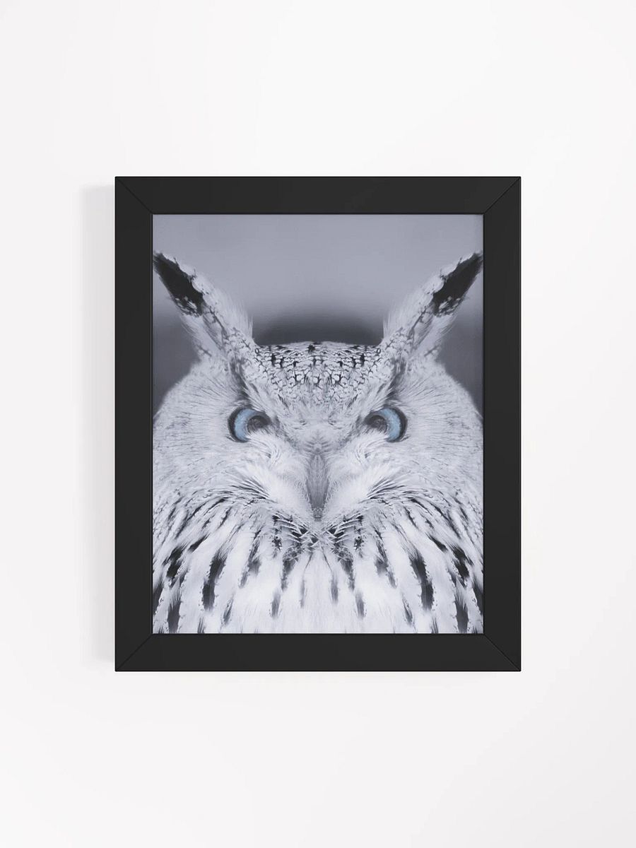 Symmetrical Owl Wisdom Framed Poster product image (82)