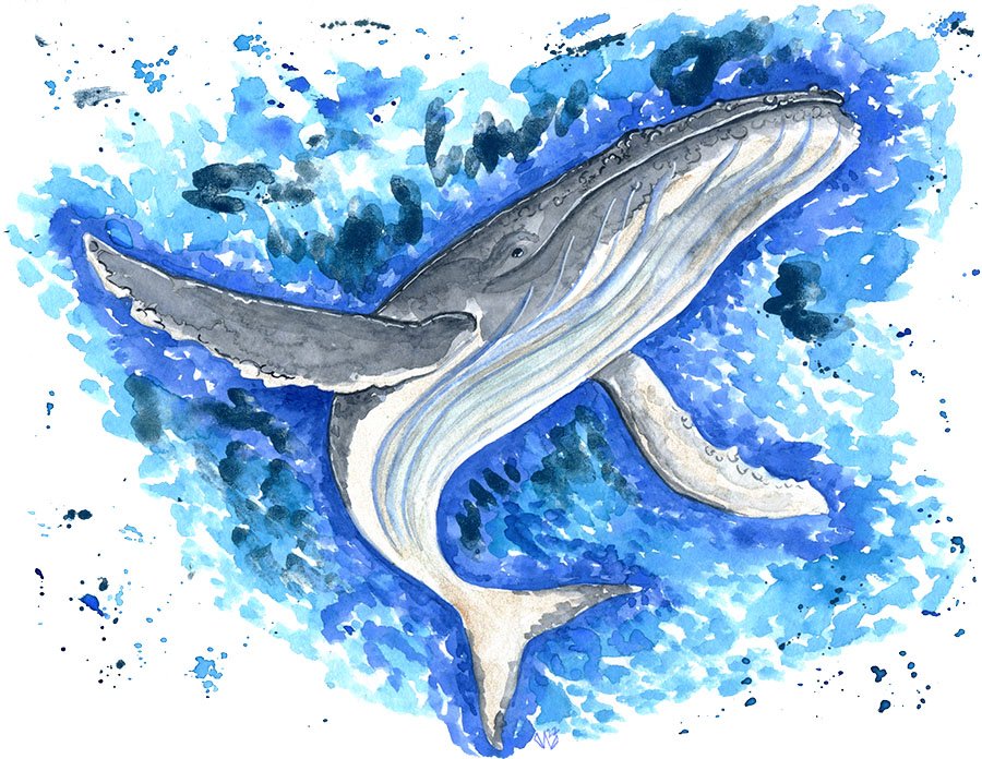 Humpback Whale Tumbler product image (3)