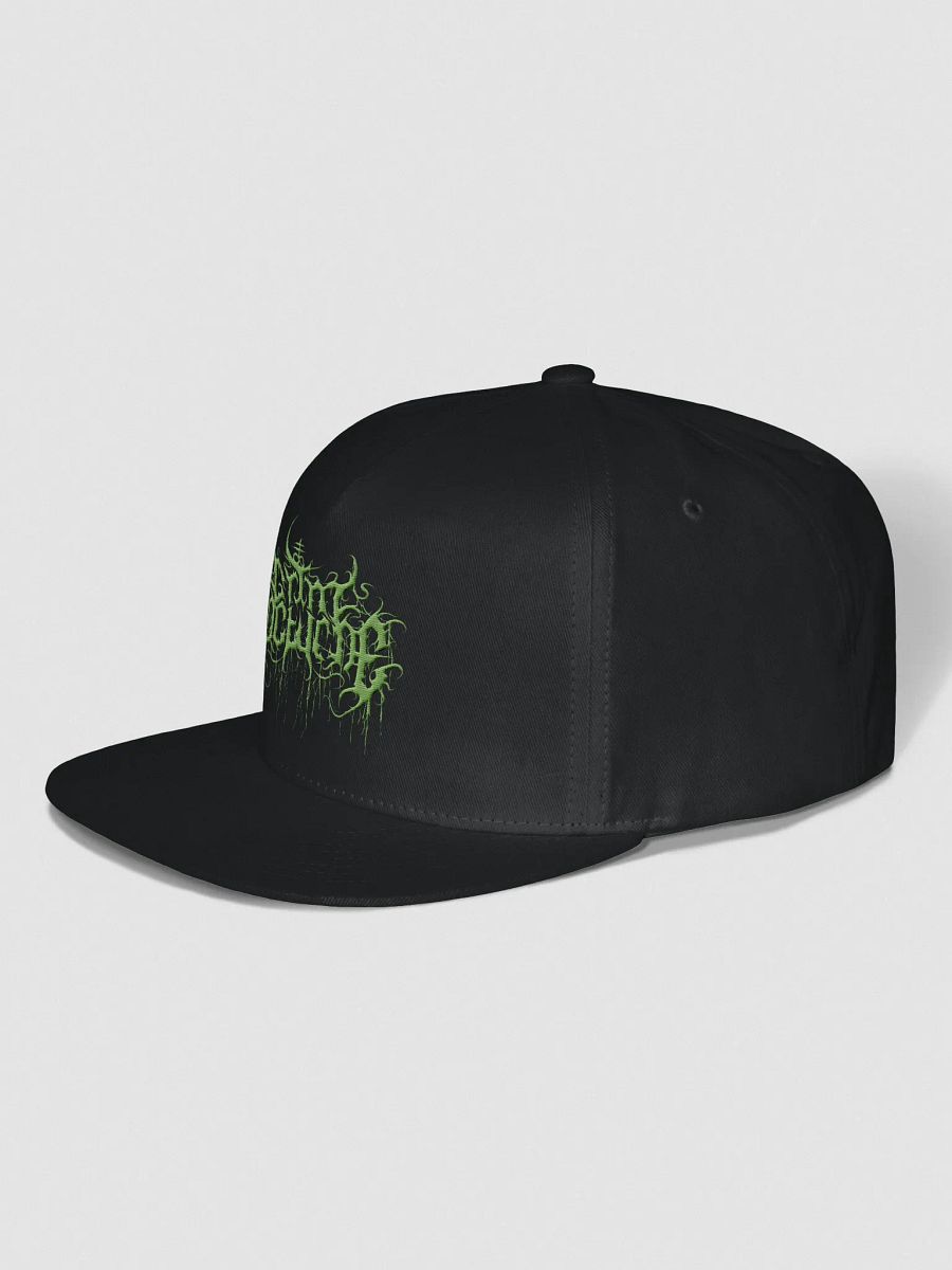 Logo Snapback Green product image (2)