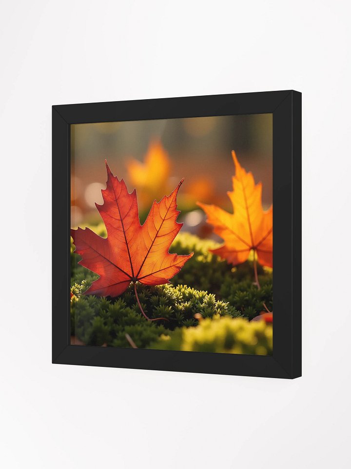Maple Leaf on Forest Floor product image (5)
