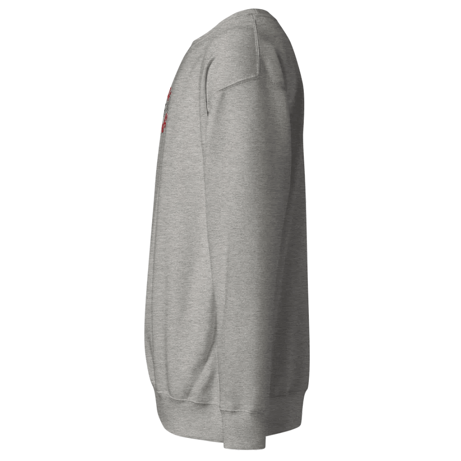 Pullover Sweatshirt - Embroidered product image (2)