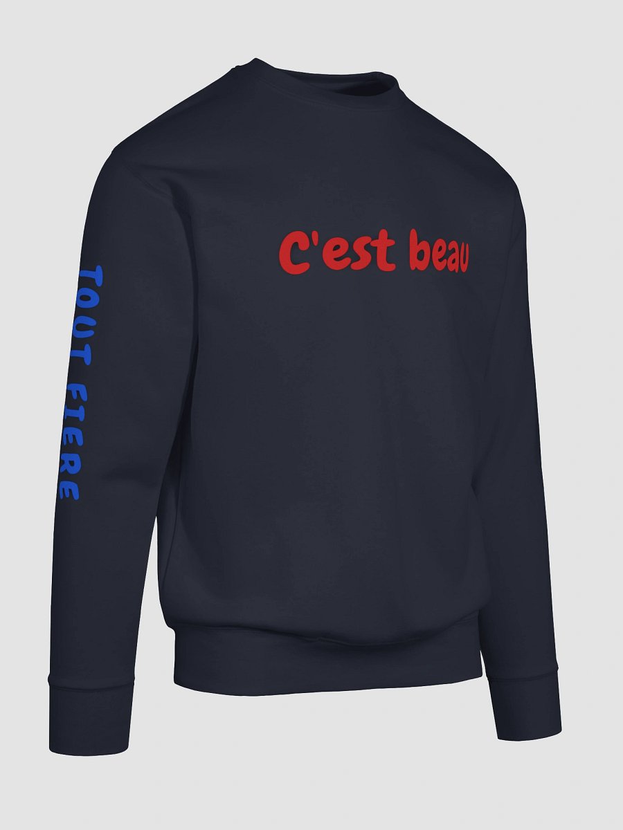CEST BEAU HOODIE product image (105)