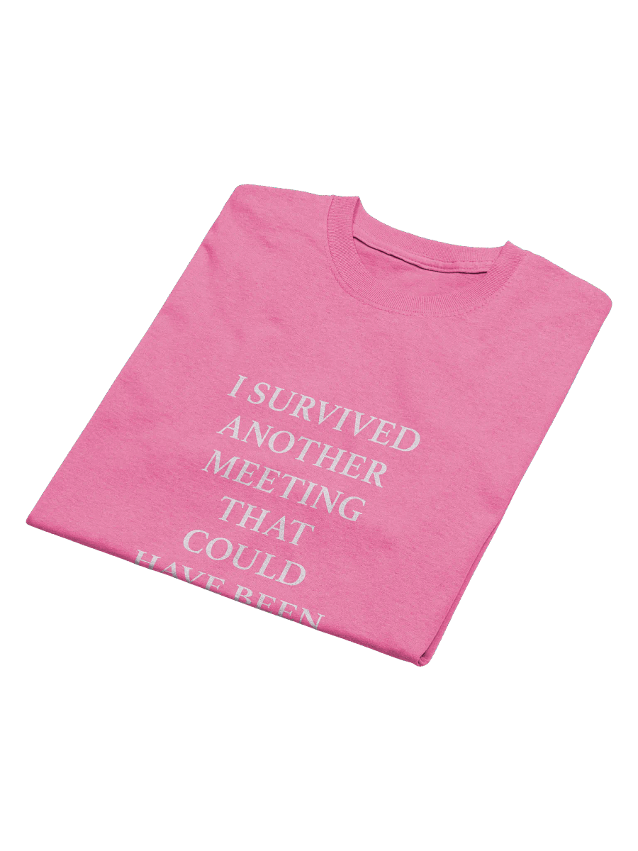 SURVIVED ANOTHER MEETING T-SHIRT product image (30)