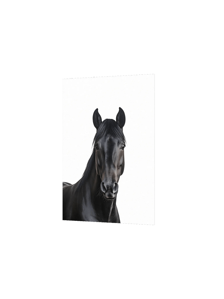 Farm Animal Black Horse Wall Art product image (11)