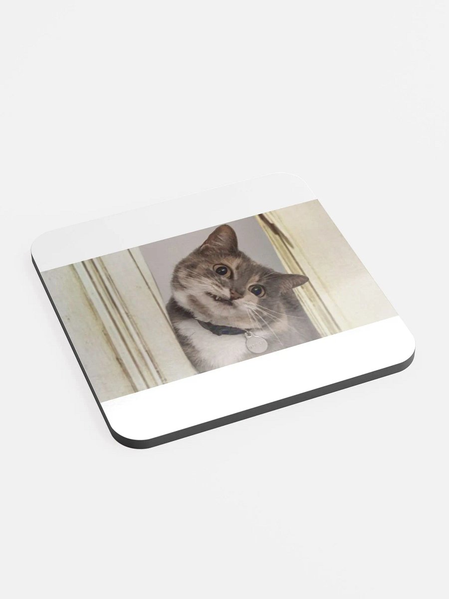 Here's.. a Mochi Coaster! product image (2)