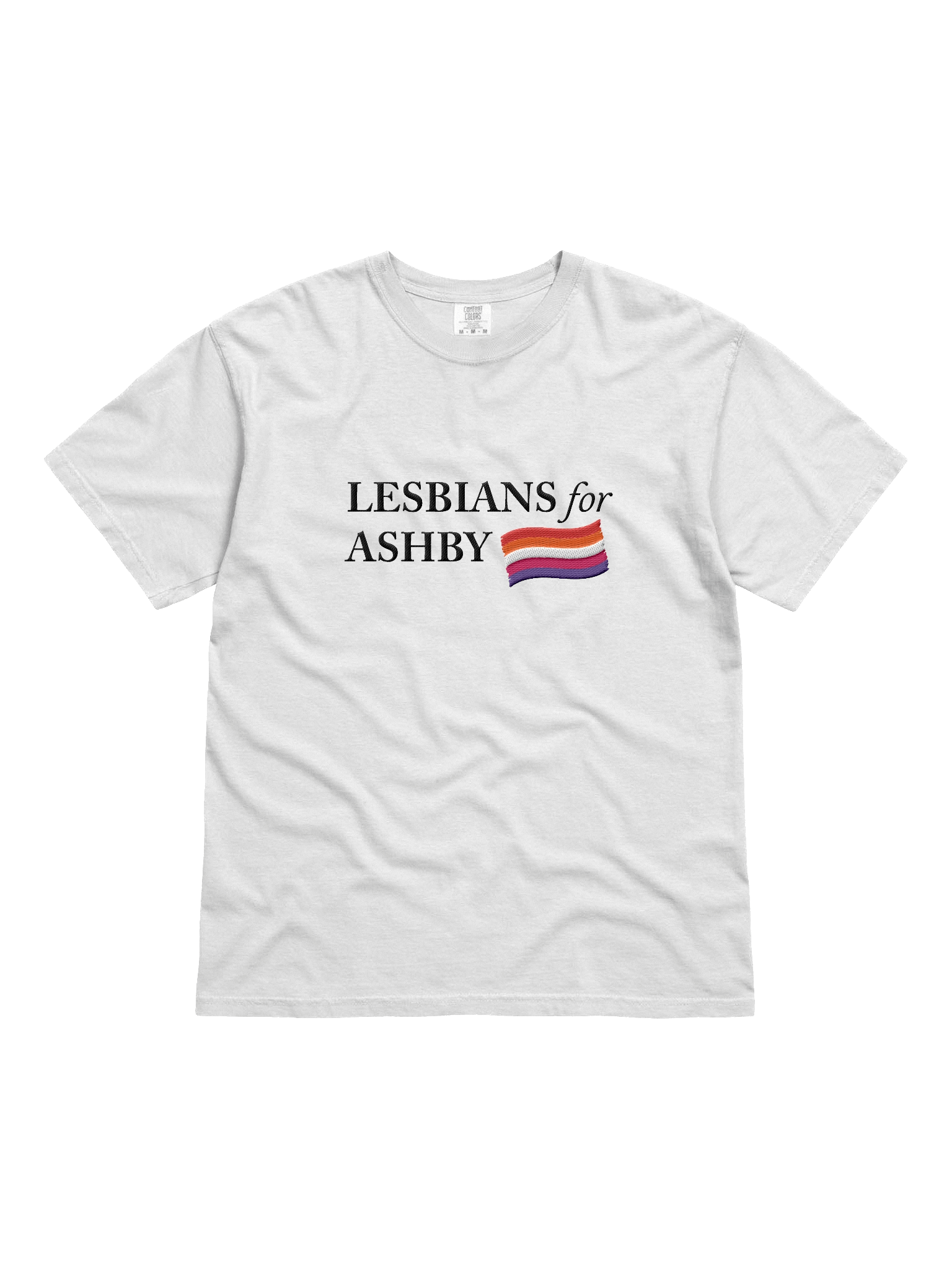 LESBIANS 4 ASHBY TSHIRT (embroidered) product image (1)