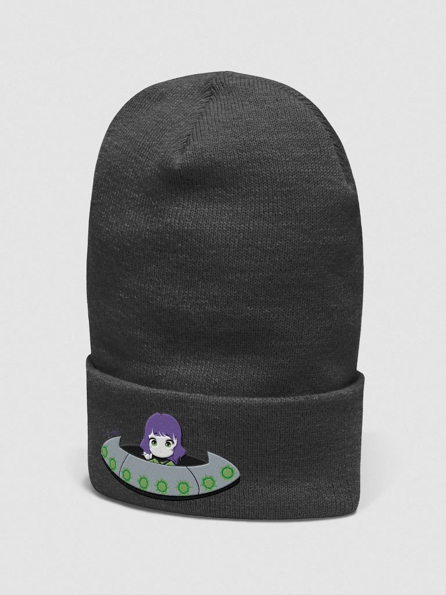 Beanie-vasion product image (2)