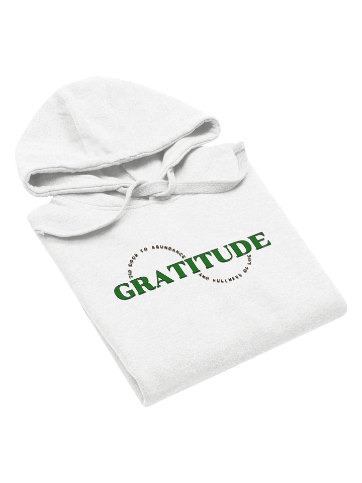 Gratitude Circle Premium Hoodie product image (2)