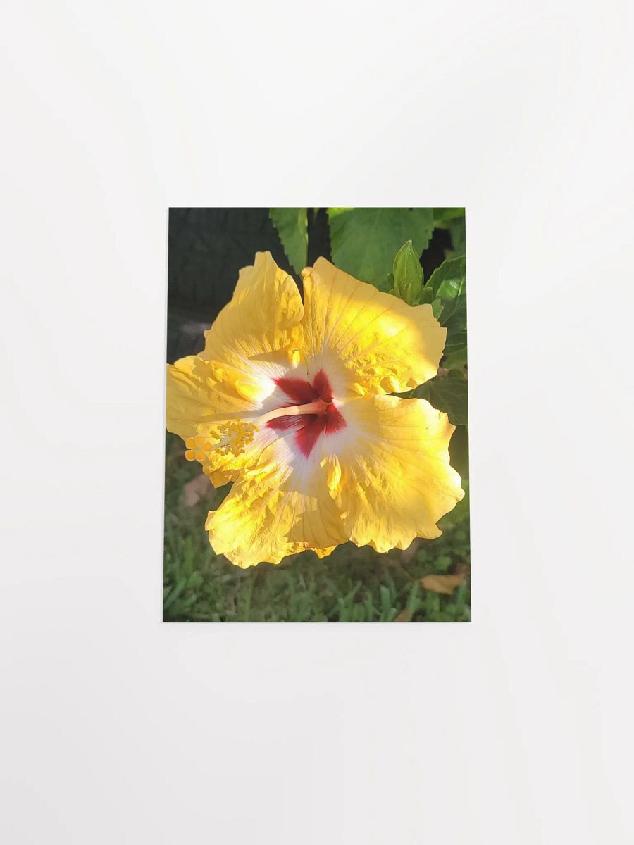 Yellow Hawaiian Hibiscus product image (50)
