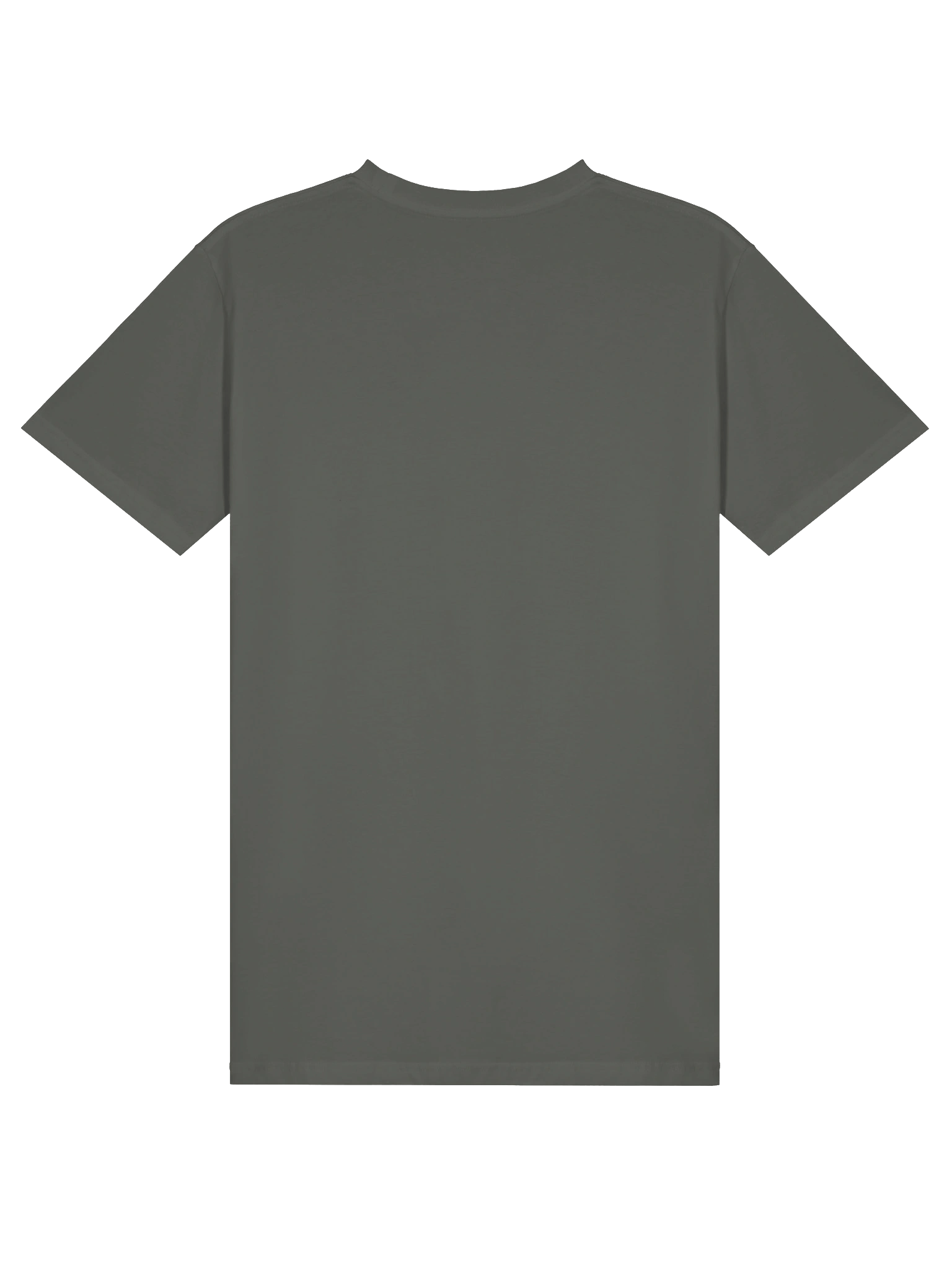 AS Colour Unisex Premium T-Shirt product image (10)