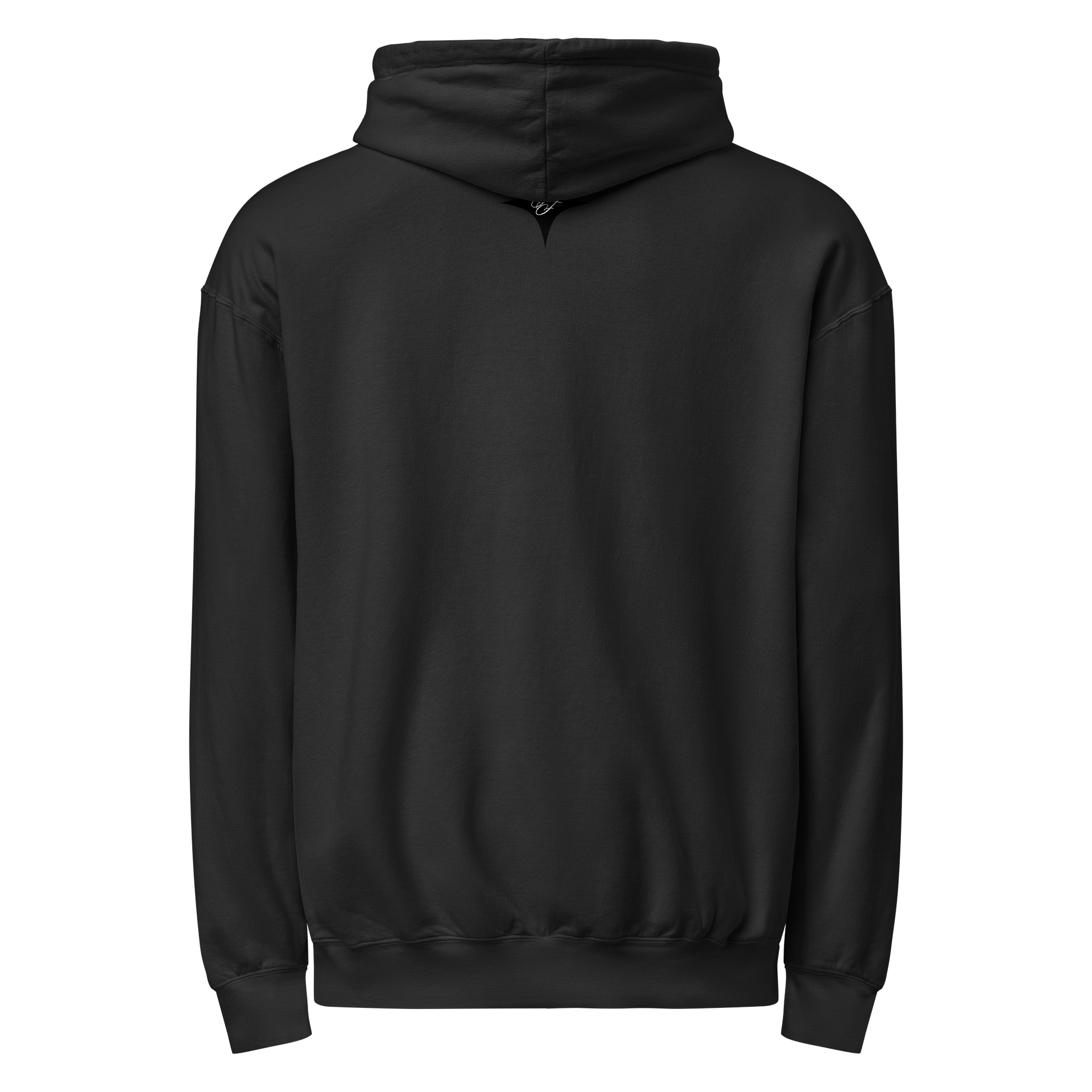 F&F Flag Lightweight Fleece Hooded Sweatshirt product image (10)