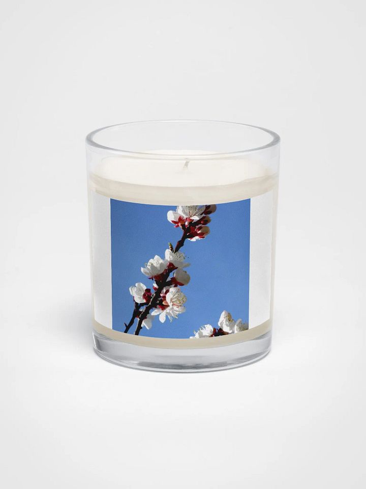 Apricot Blossoms by Candle Light product image (1)