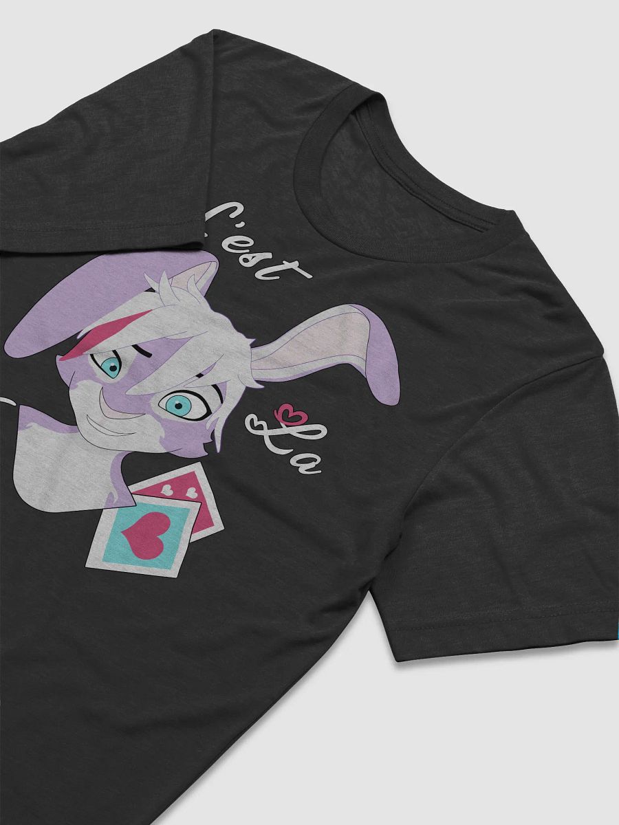 June | Triblend T-shirt | Quote #1 product image (3)