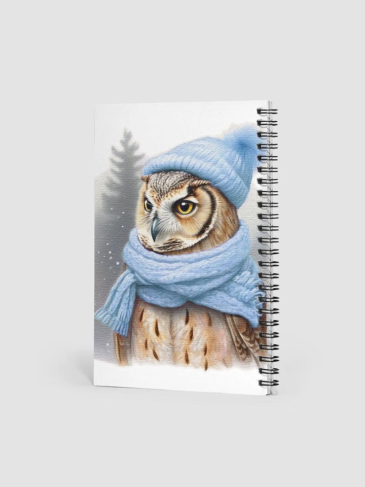 Adorable cute owl wearing a Blue hat and scarf product image (2)