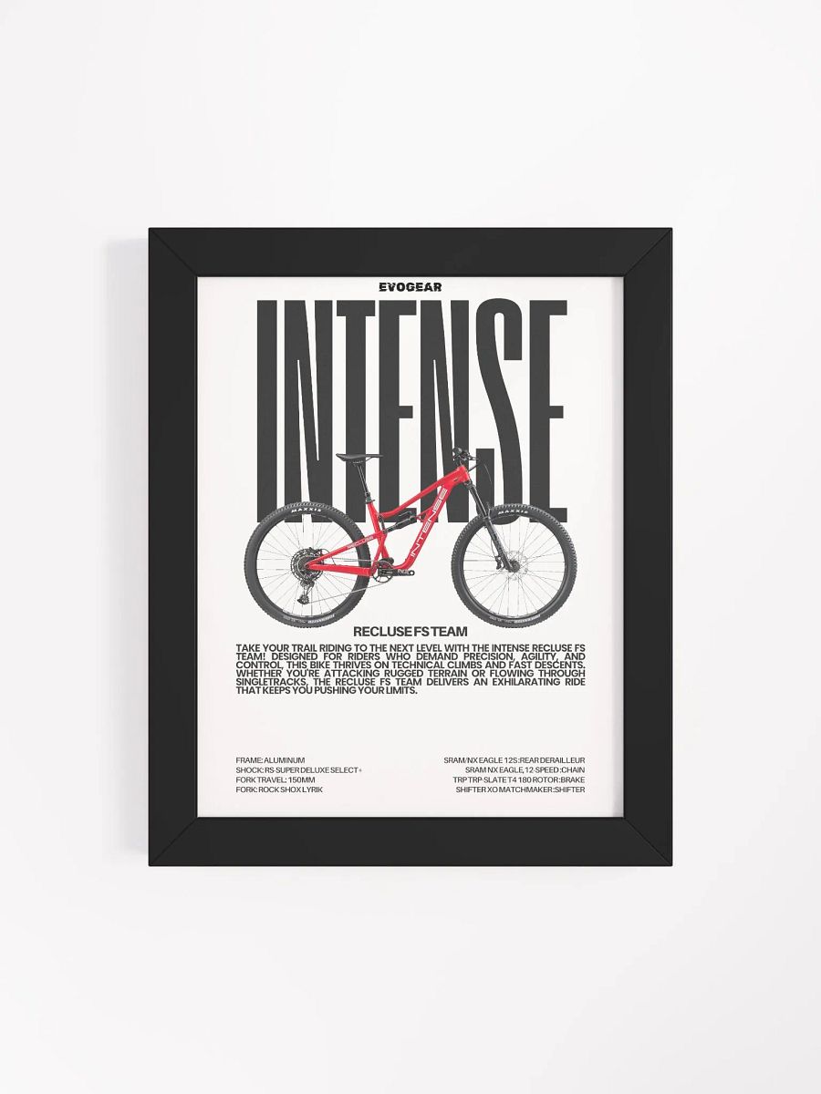 Intense Recluse FS Team Frame product image (17)