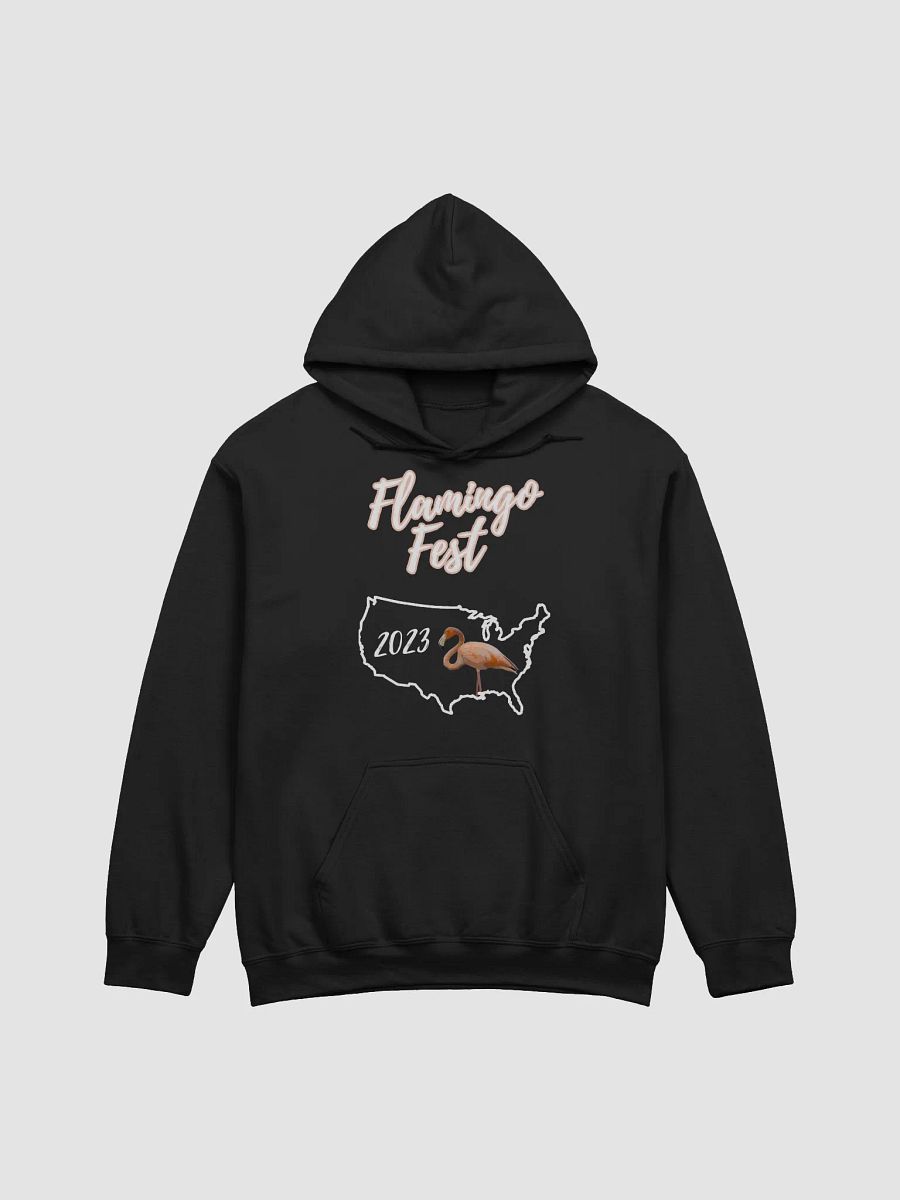 Flamingo Fest Hoodie product image (1)