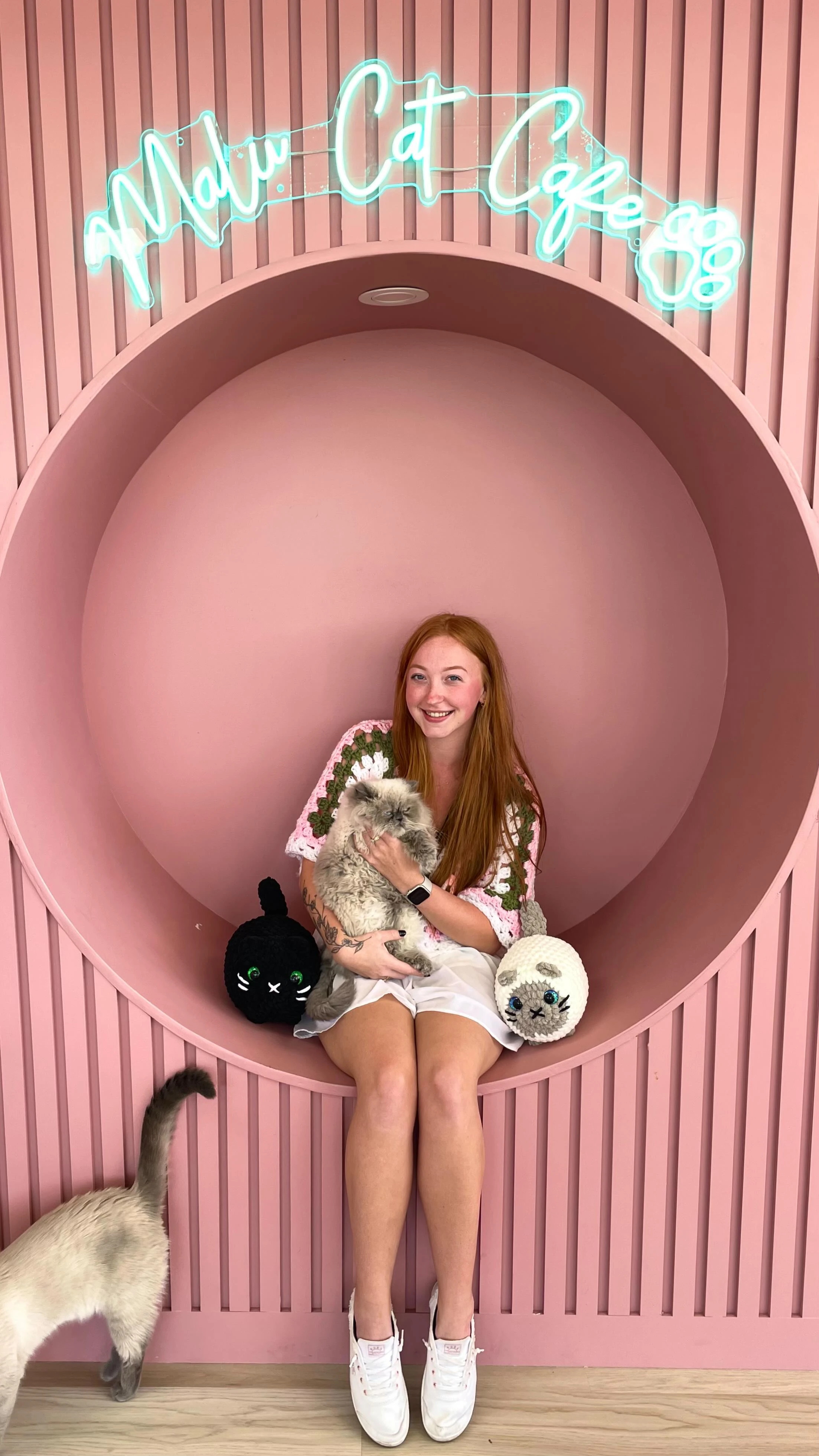 Bringing my crochet loaf cats to a cat cafe!🐱☕️

@malucatcafe just opened up in Garden City, Michigan!🤍 The first cat cafe in...