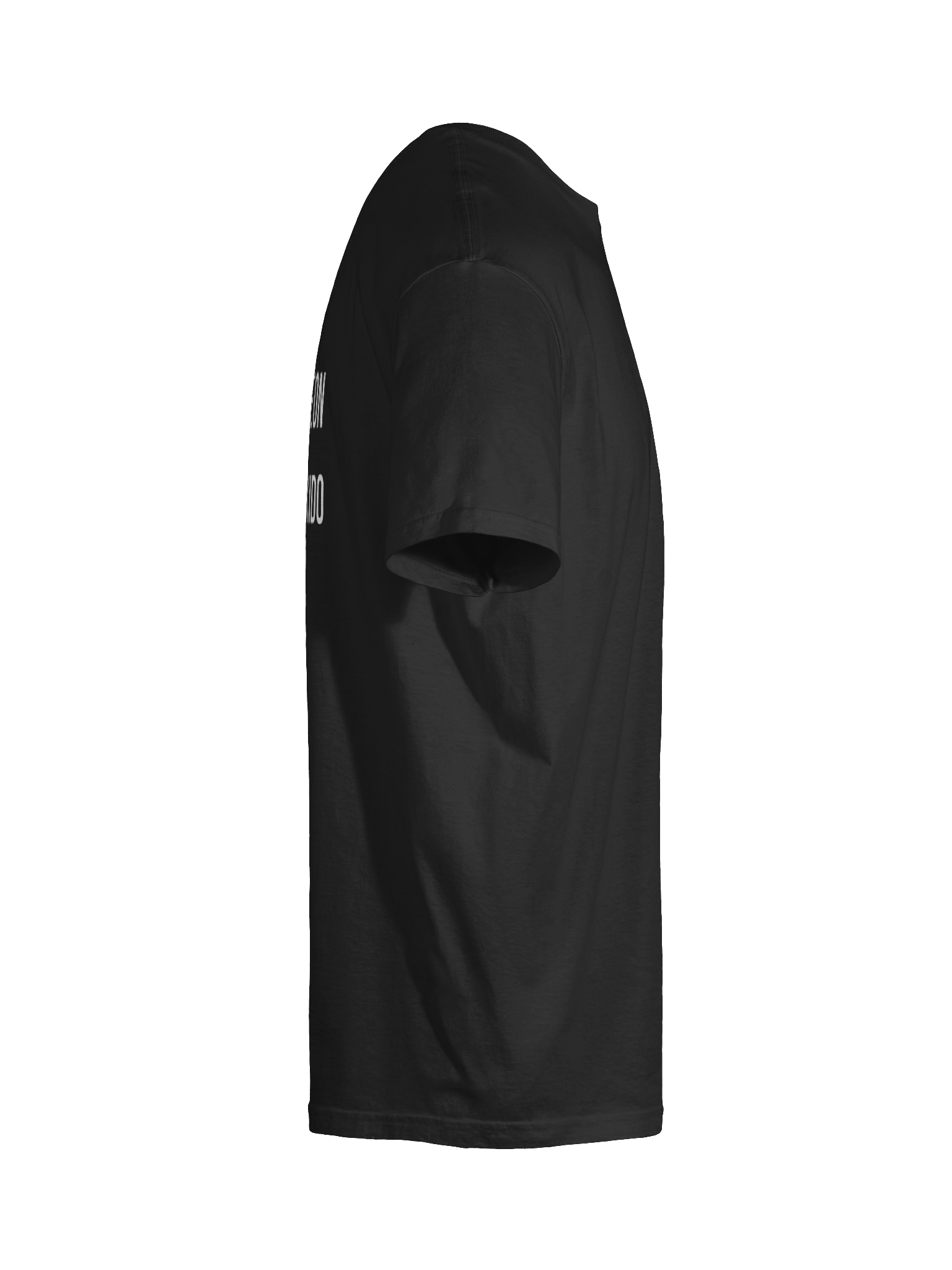 SilJeon Hapkido Organization Shirt! product image (10)