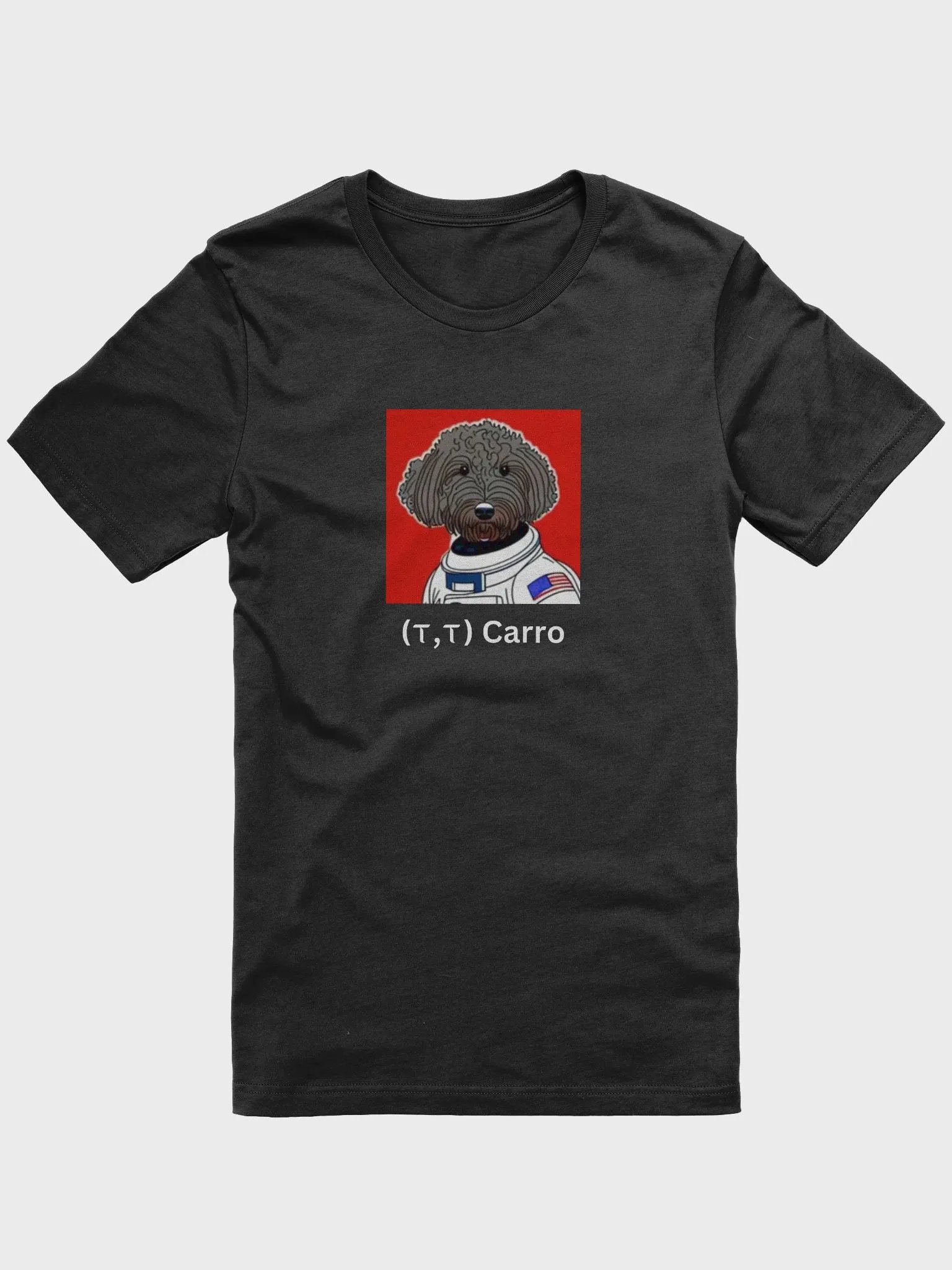 CARRO T-SHIRT product image (2)