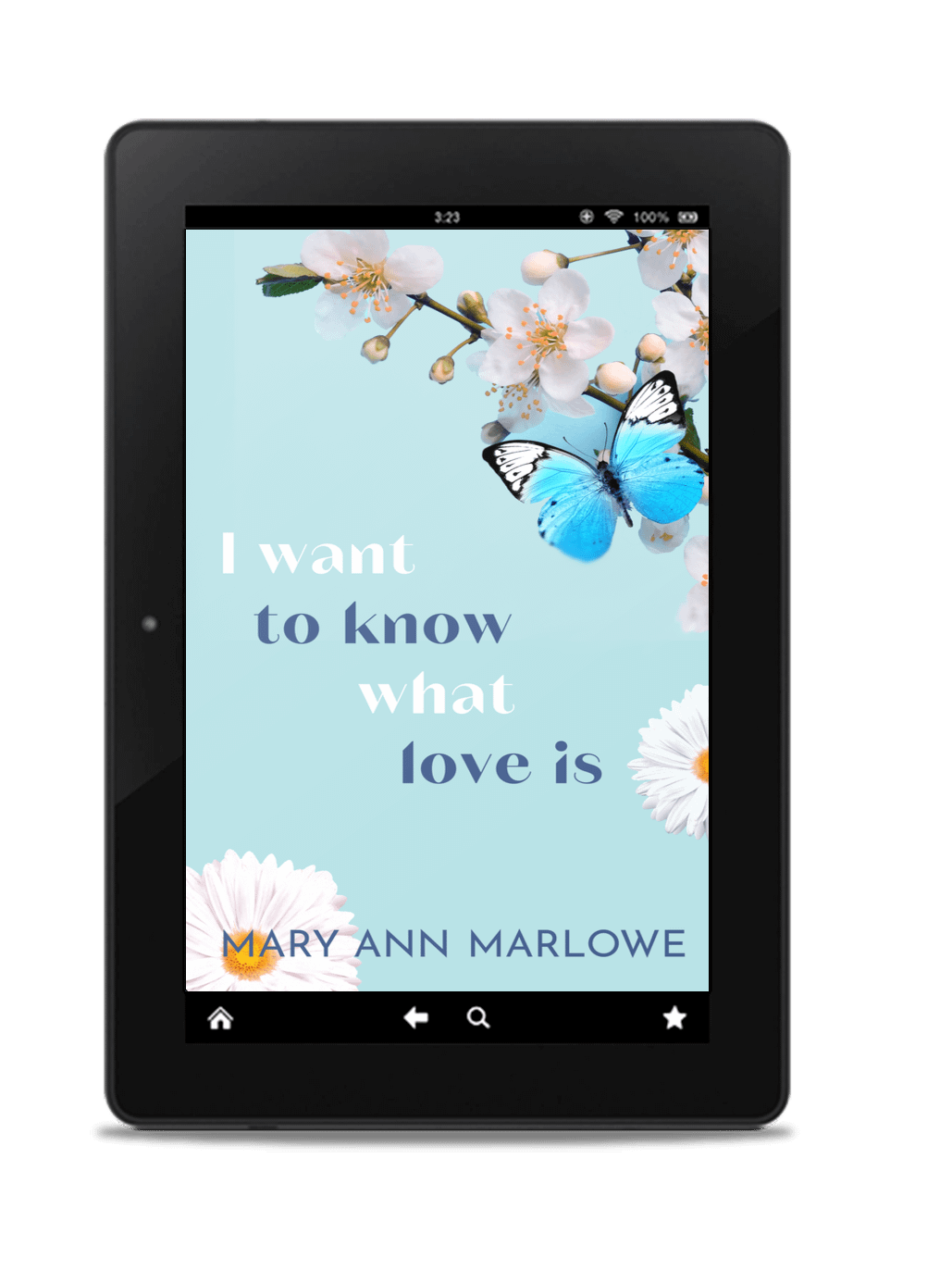 The Most Wanted Bundle (discreet cover) | E-book product image (7)