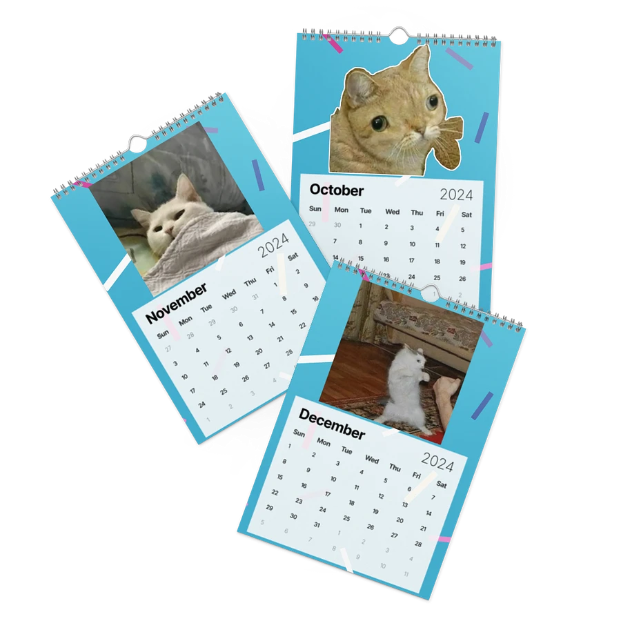 Wall Calendar (2024): Meme Cats product image (17)