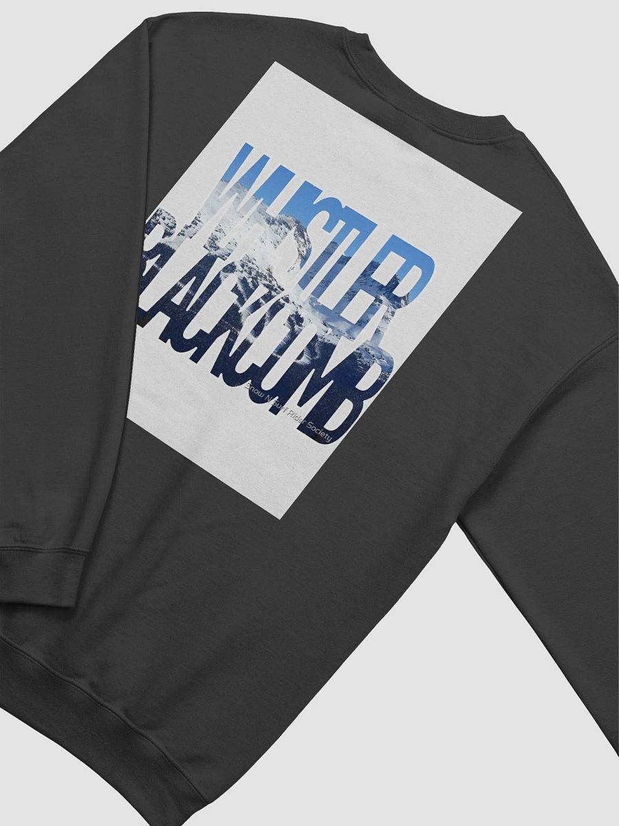 Whistler blackComb product image (4)
