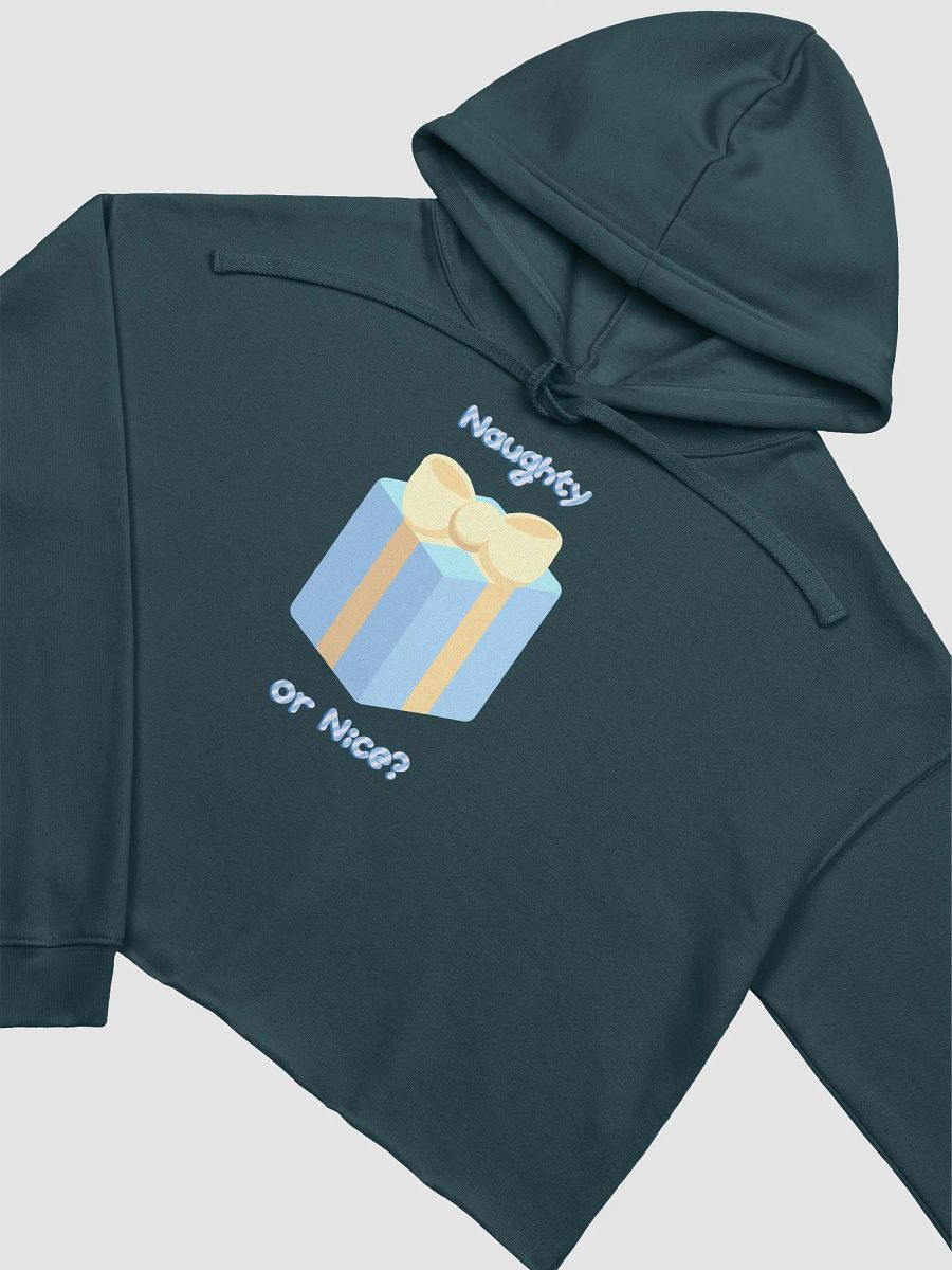 Blue Gift Cropped Hoodie product image (3)