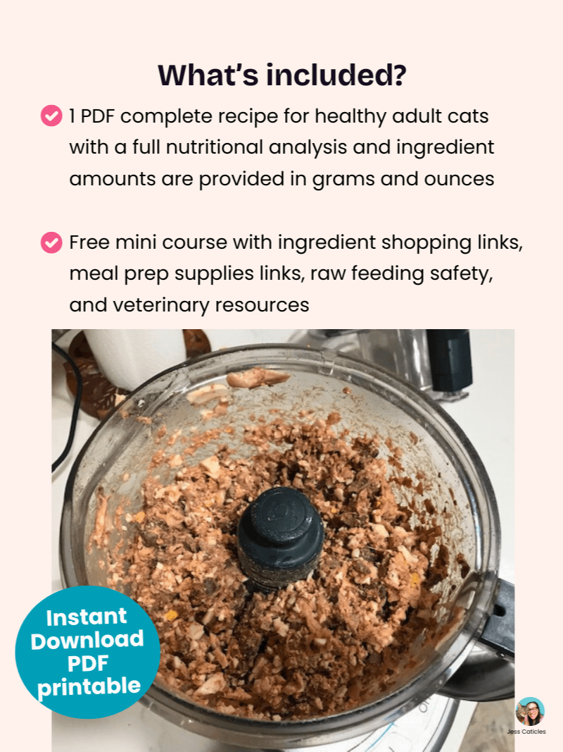 Cooked chicken cat food recipe ~ 1 recipe for adult cats product image (6)