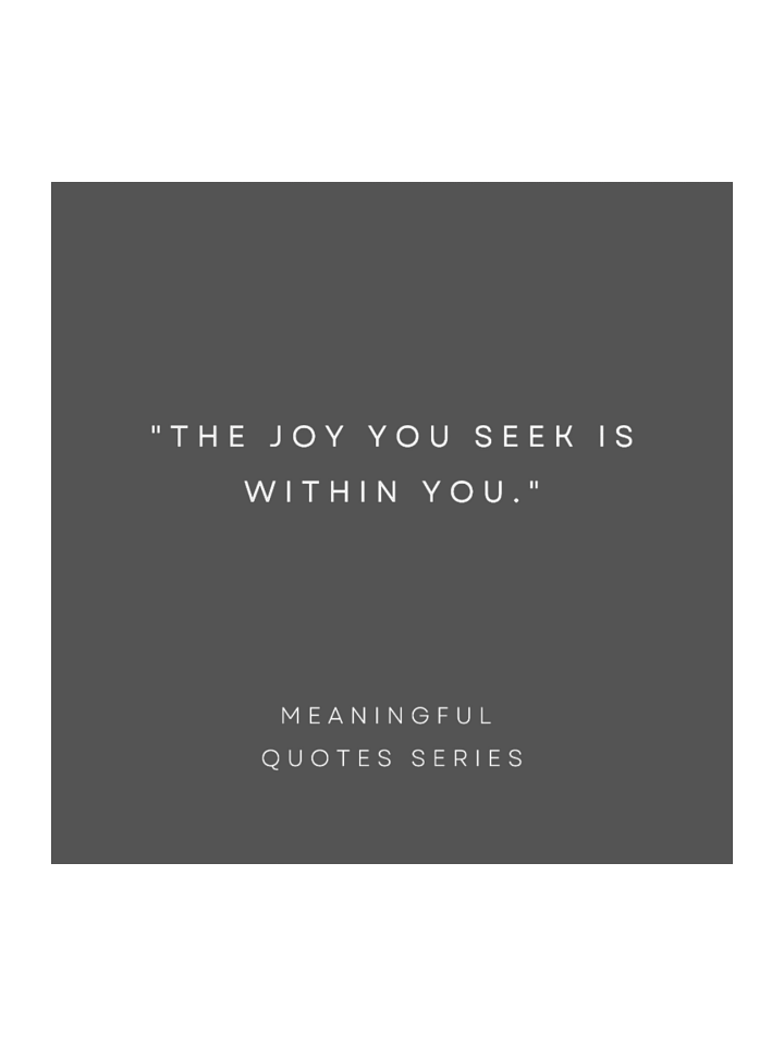 The Joy You Seek Is Within You. product image (1)